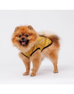 Свитер меланж на молнии для собак 35 см желтый Rurri