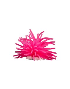Декоративный анемон для аквариума 8 х 5 см розовый Пижон аква
