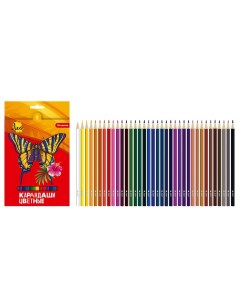 Набор цветных карандашей Ярко 36 цветов LBSCP 36 Leo