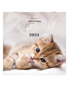 Календарь настенный перекидной на 2024г Милые котики 115321 3 шт Brauberg