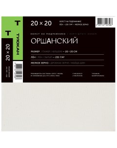 Холст на подрамнике Оршанский мелкозернистый грунтованный 20х20 см Туюкан