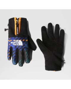 Перчатки Перчатки Denali Etip Glove The north face