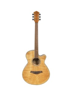 Акустические гитары DS 200 NT Sevillia