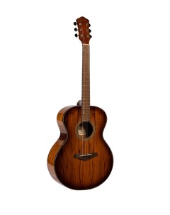 Акустические гитары DS 300 LVS Sevillia