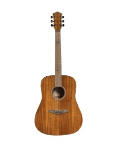 Акустические гитары DS 250 FCKNT Sevillia