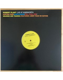 Robert Plant Live At Knebworth LP Mercury records