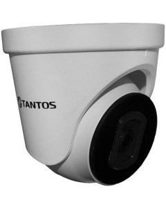Видеокамера сетевая IP TSi Beco25FP Tantos