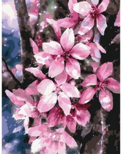 Картина по номерам Розовые цветы холст на подрамнике 40х50 см GX44460 Paintboy