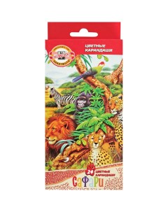 Набор карандашей цветных САФАРИ 24 цв в картонной упаковке с европодвесом Koh-i-noor