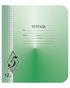 Тетрадь ТW51200V55Н250 12 листов клетка Каменногорская бумажная компания