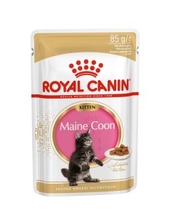 Кусочки в соусе для котят породы Мейн Кун 4 15 мес 85 г Royal canin паучи