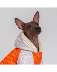 Комбинезон с капюшоном для собак XL оранжевый Petmax