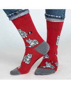 Носки Пара килограмм Великой Британии р 42 46 St.friday socks