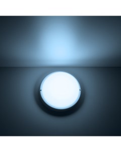 Пылевлагозащищенный светильник 126411312 Gauss