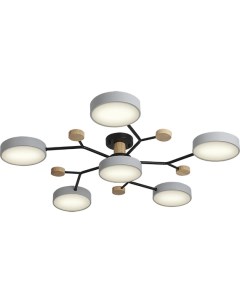 Потолочная люстра (+ночной режим) с пультом светодиодная на штанге с ДУ Ritter