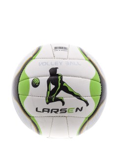 Волейбольный мяч Pro Tour 4 white green Larsen