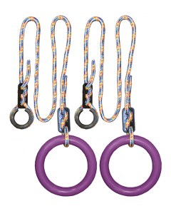 Кольца гимнастические круглые В 2 Фиолетовые Формула здоровья