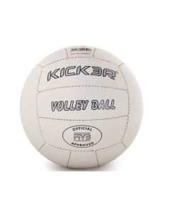 Волейбольный мяч Kicker Tip 5 white Larsen