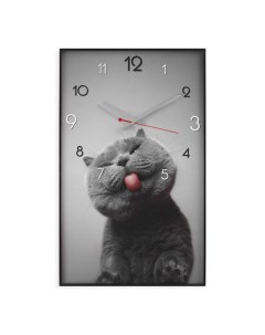 Часы картина настенные серия Интерьер Котик плавный ход 57 х 35 см 1 АА Timebox