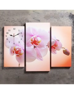 Часы настенные модульные серия Цветы Розовая орхидея 60х80 см Сюжет