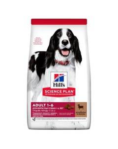 Корм сухой для взрослых собак средних пород для поддержания иммунитета ягненок и рис Hill s Science  Hill's pet nutrition manuf