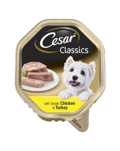 Classics консервы для собак паштет Курица и индейка 150 г Cesar