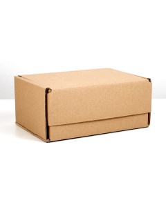 Коробка самосборная 22 х 16 5 х 10 см Nobrand