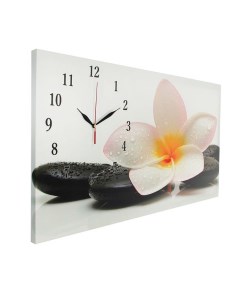 Часы картина настенные серия Цветы Белый цветок на камнях 40 х 76 см Сюжет