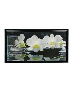 Часы картина настенные серия Цветы Белые орхидеи 50 х 100 см Сюжет