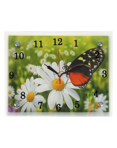 Часы настенные серия Цветы Бабочка на ромашке 20х25 см микс Сюжет