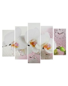 Часы настенные модульные серия Цветы Белая орхидея 80х140 см Сюжет