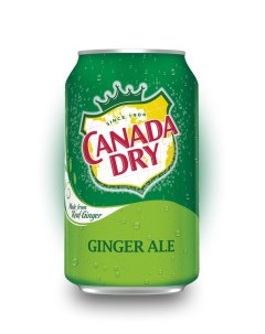 Напиток газированный Ginger Ale 0 33л Упаковка 24 шт Canada dry