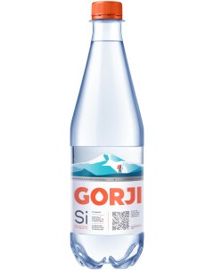 Вода минеральная газированная лечебно столовая пластик 500 мл Gorji
