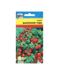 Семена томат Балконное чудо Р00022182 Урожай удачи