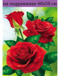 Алмазная мозаика красные розы ZX11400 на подрамнике 40х50 полная выкладка Nobrand