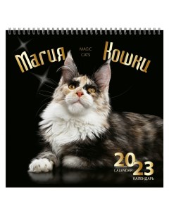 Календарь настенный перекидной на 2023 год на спирали Магия кошки Тд медный всадник