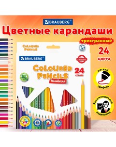 Карандаши цветные пластиковые Premium 24 цвета трехгранные грифель мягкий 270г Brauberg