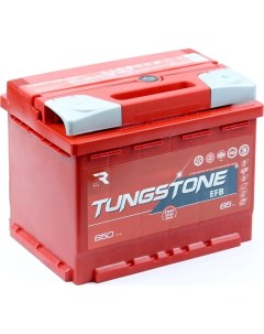 Автомобильный аккумулятор Tungstone