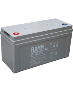 Аккумуляторная батарея Fiamm
