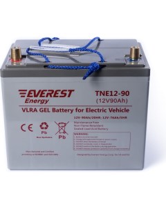 Тяговая аккумуляторная батарея Everest energy
