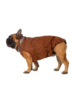 Куртка на молнии для собак Французский бульдог 2XL коричневый унисекс Rurri