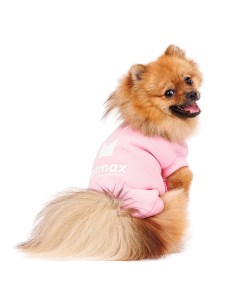 Толстовка для собак XL розовый унисекс Petmax