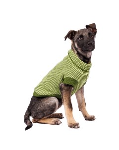 Свитер для собак 40см XL зеленый унисекс Petmax
