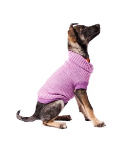 Свитер для собак 35см L фиолетовый унисекс Petmax