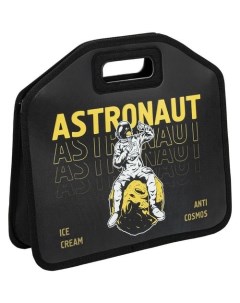 Папка для тетрадей Astronaut 271001 A4 340x300x100мм 1 отделение пластик на молнии Юнландия