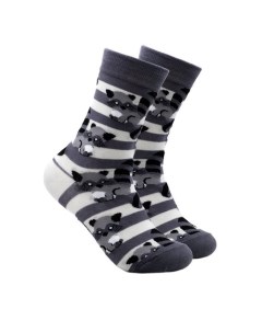 Носки Niceee Енот в полоску размер 35 40 Krumpy socks