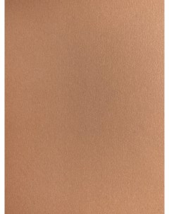 Бумага для пастели GrafArt А4 270 г коричневая светлая Малевичъ