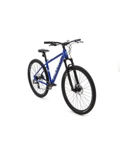 Велосипед 29 FIRST 2 0PS DISK 8 скоростей синий рама M Falcon bike