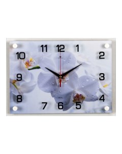 Часы настенные Белая орхидея 2535 1220 Рубин