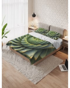 Постельное белье Вихрь кактутусов комплект 1 5 спальный с наволочками Ambesonne